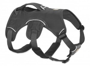 Ham Web Master Ruffwear - XXS - Twilight Gray