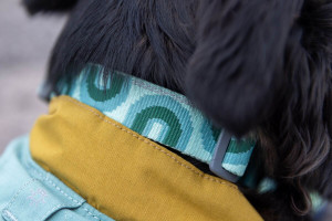 Zgarda Crag Ruffwear - S - Grassy Oxbow - Img 2