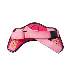 Ham JK9 IDC Power PAW Patrol - L - Skye - Img 2