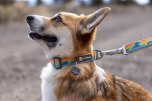 Lesa Crag Ex Ruffwear - 1.8m - Rising Wave - Img 3