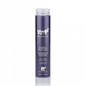 Sampon Yuup Home White - 250ml