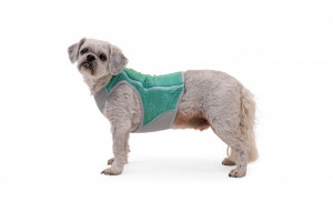 Vesta racire Swamp Cooler Ruffwear - XL - Aurora Teal - Img 4