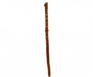 Zgarda piele, tinte - 45cm - Portocaliu - Img 2
