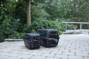 Cusca transport plastic Eco - 58 x 38 x 38 cm - Negru - Img 2
