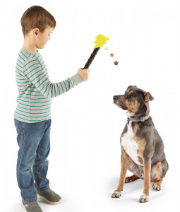 Dispenser recompense - Magic Wand - Img 3