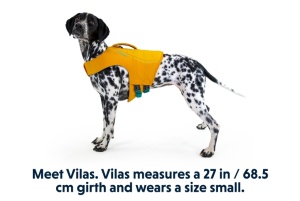 Vesta de inot Float Coat - Ruffwear - Wave Orange - S - Img 3