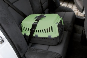 Cusca transport plastic - Bordo - 45 x 30 x 30 cm - Verde - Img 3