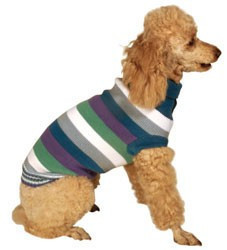 Pulover dungi - Multicolor - XS - Img 2