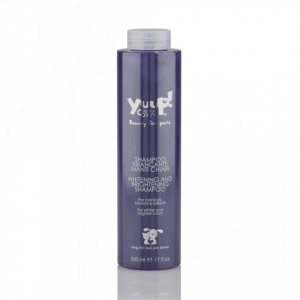 Sampon Yuup Home White - 500ml