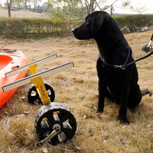 Mejor carro para kayaks